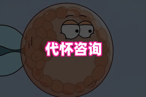 【bigdi】代生生男孩·代生哪家安全