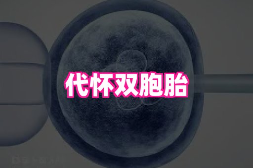 stunn——代怀生子机构——试管供卵选性别包生男孩
